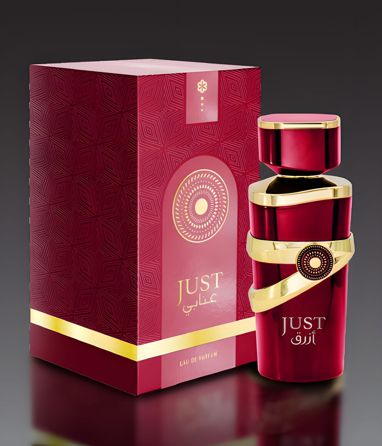 Apa de Parfum Fragrance World, Just Anabi, Unisex, 100 ml