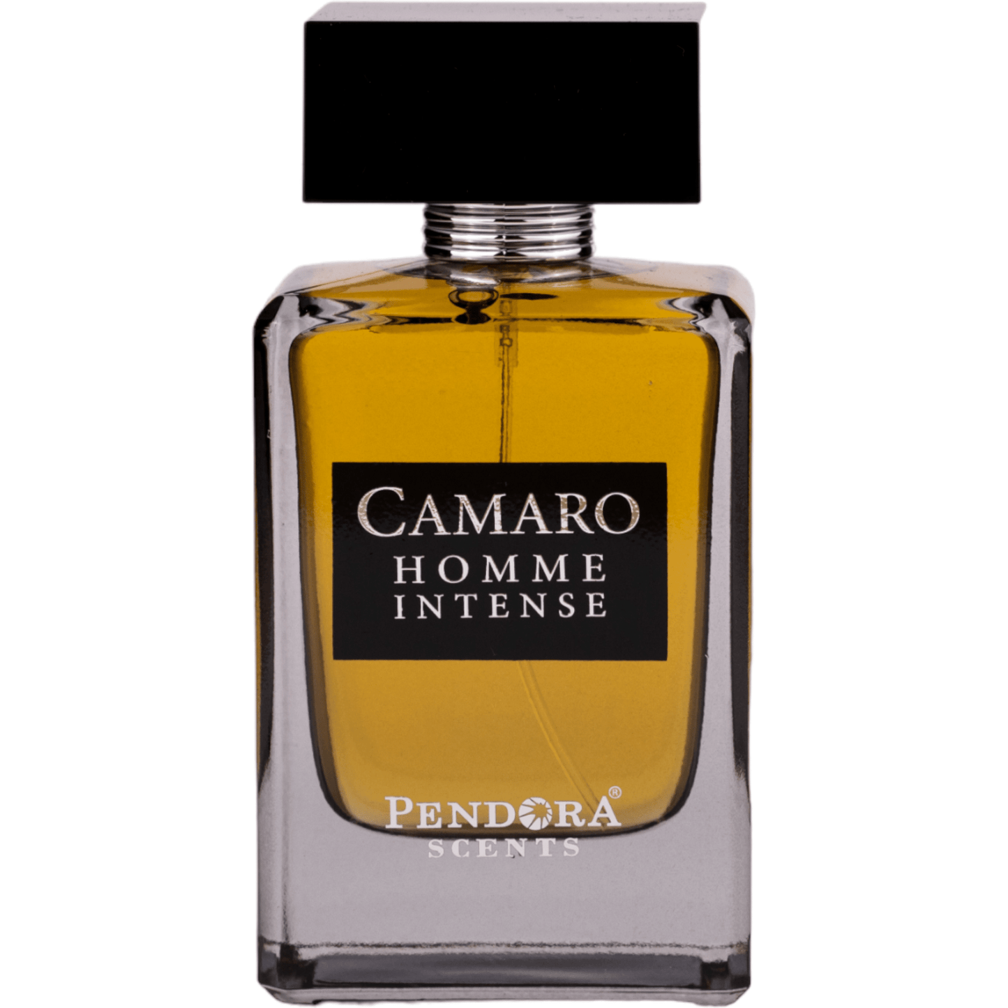 Camaro Homme Intense by Pendora Scents - parfum arabesc barbati - EDP - 100 ml