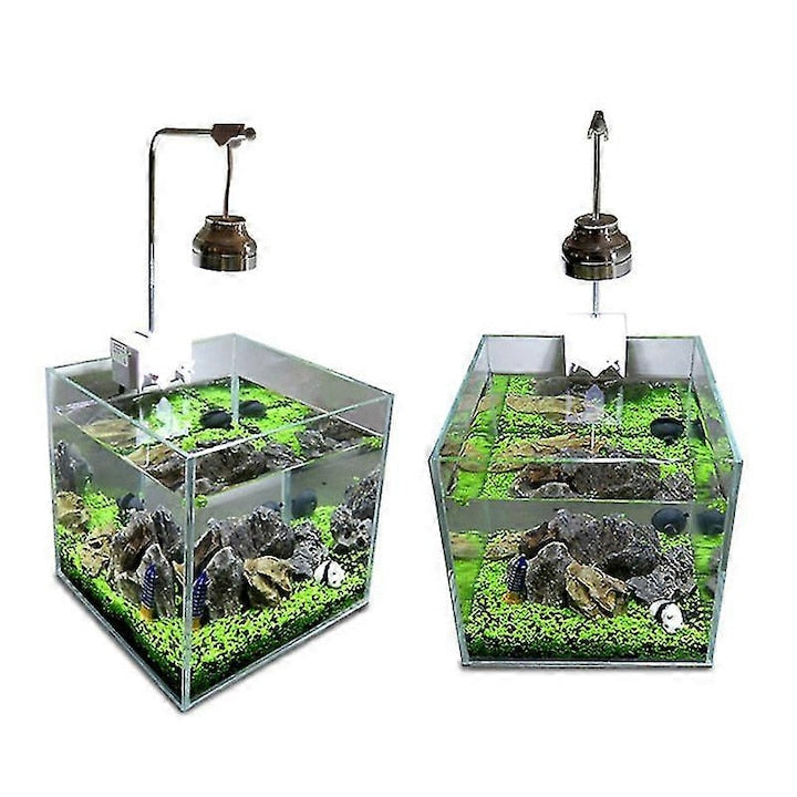 Seminte de plante acvatice pentru acvariu Multicolor