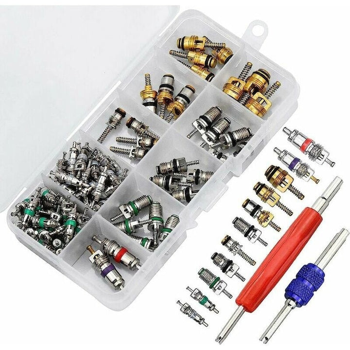 Set nuclee supapa aer conditionat auto kit valve compatibil R134a/R12 include 2 unelte de demontare 12.1/7.6 cm din aluminiu/alama/plastic Multicolor 102 piese (100 nuclee + 2 unelte)