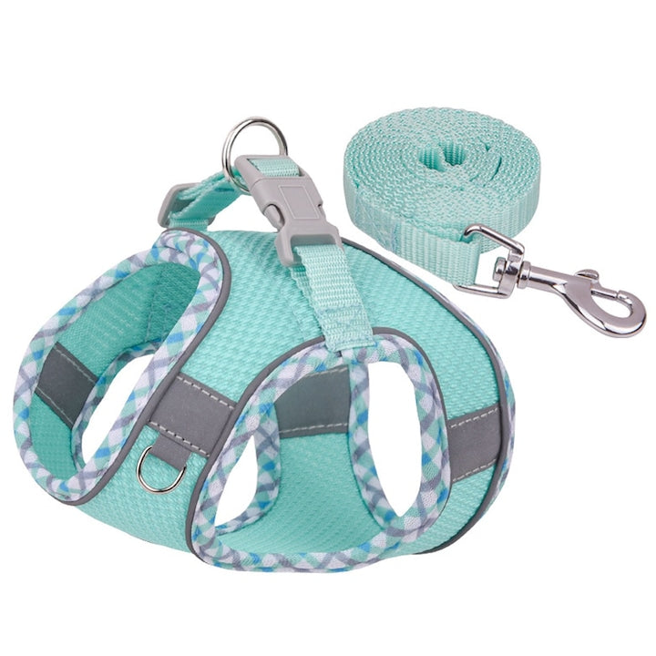 SINBINTA Harness and Leash Set, Soft and comfortable, Adjustable buckles, Reflective design for safe night walks, Leash 150 cm, For dogs and cats, Synthetic fibers, XS, Green
