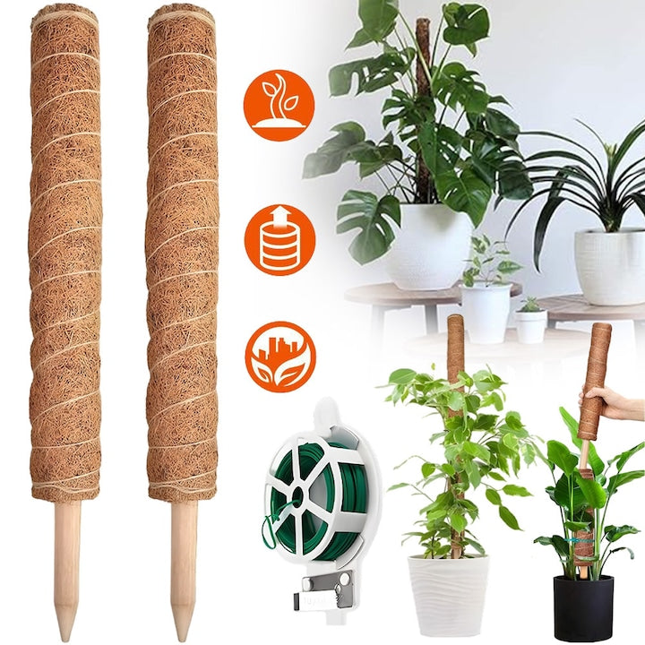Moss Pole 2 Pieces 40 cm Coconut Coir Moss Pole for Monstera and Cheese Plants, Indoor Plant Supports, Totem Pole for Indoor and Outdoor Climbing Plants
