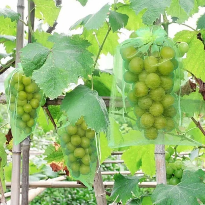 Saculeti de protectie pentru struguri din organza 30 x 20 cm verde set 100 buc. cu inchidere cu sarma metalica plasa anti-insecte reutilizabila