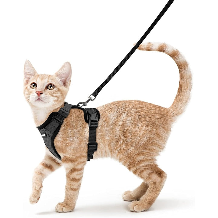 Reflective Adjustable Cat Harness and Leash, Black, 21.6-27.9cm