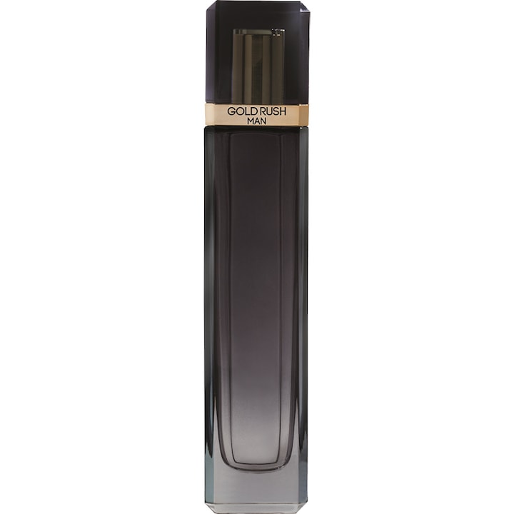 Apa de Toaleta Paris Hilton Gold Rush Barbati 100 ml