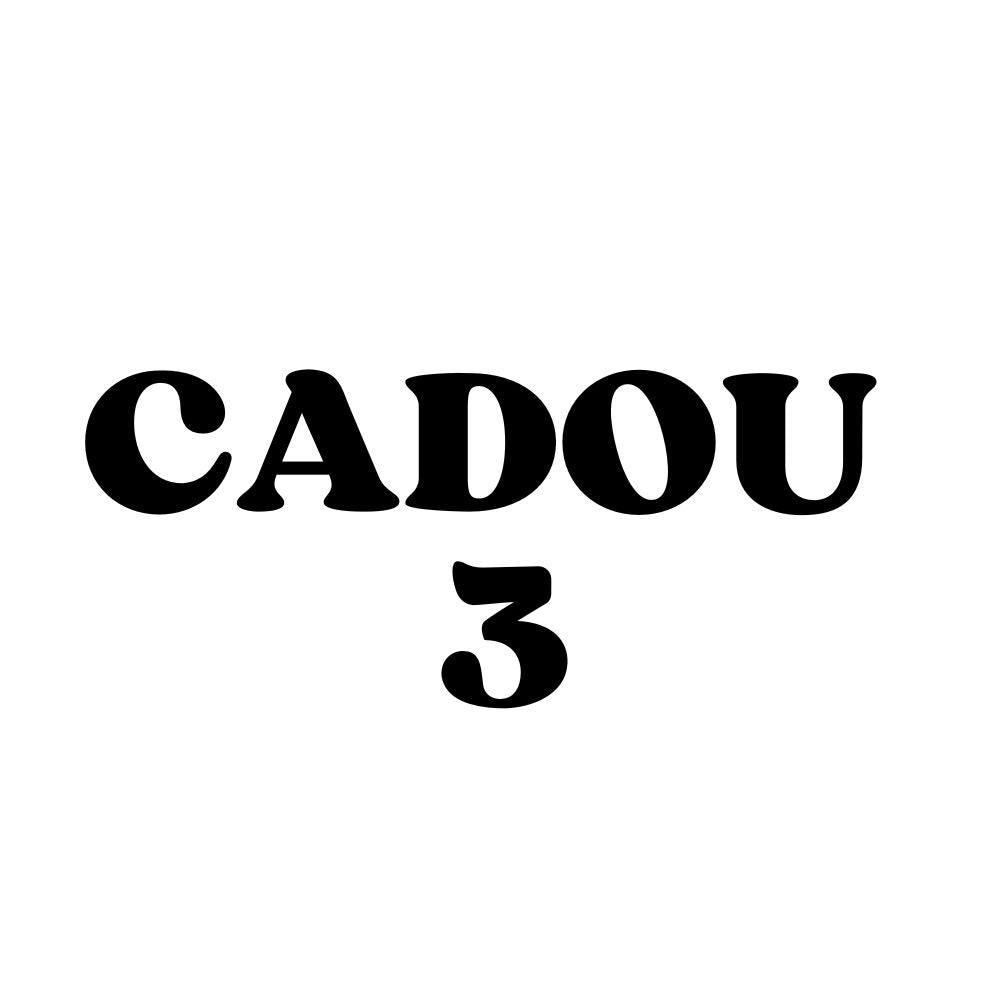 Cadou prag 3 (comenzi intre 300-550 ron)