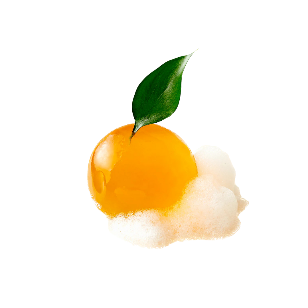 Sapun gelatinos de curatare cu extract de centella asiatica din insula Jeju, 110g | ongredients