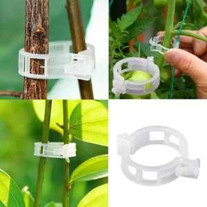 50 Clipsuri pentru Plante