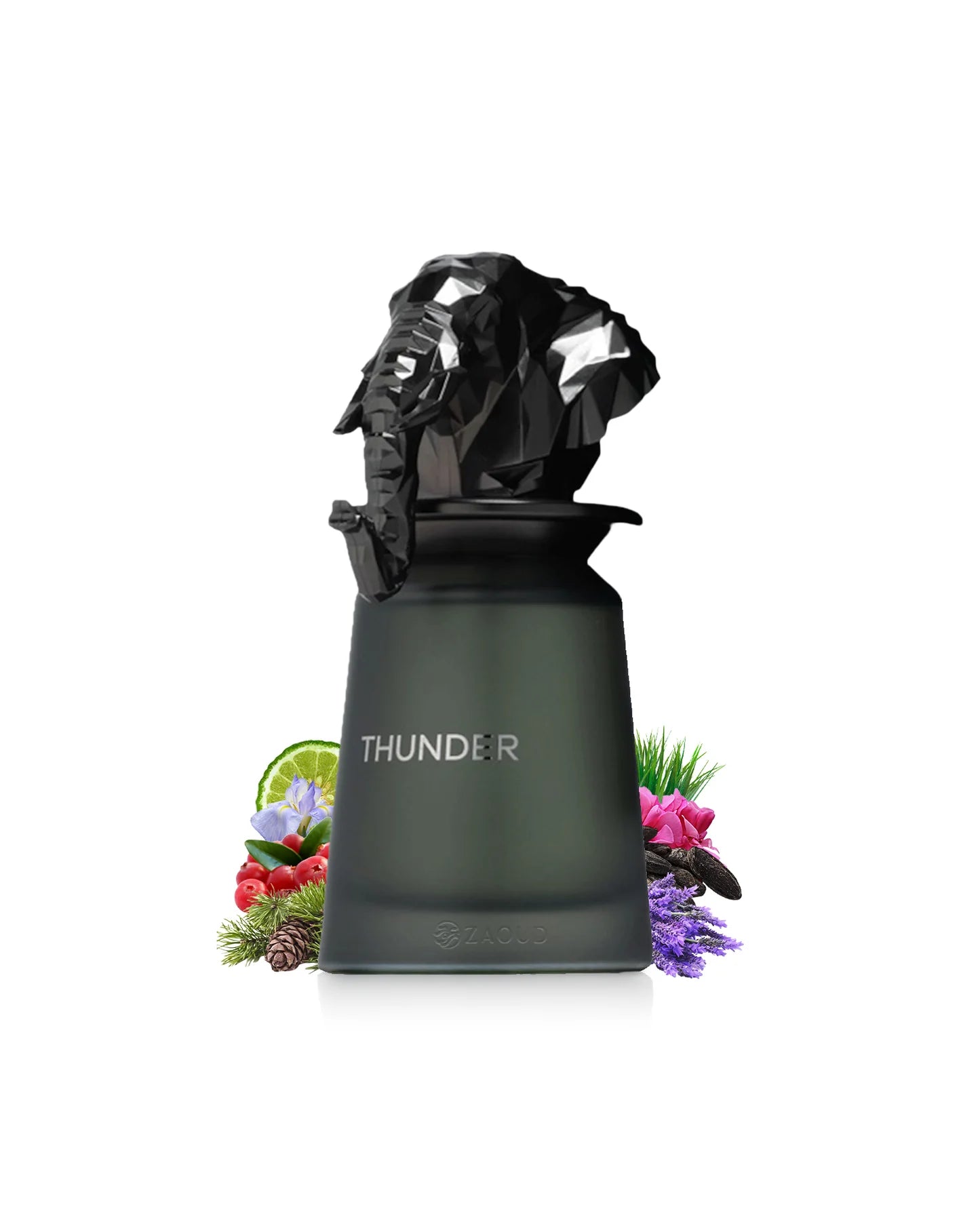 Apa de Parfum Thunder by French Avenue, Barbati, 100 ml