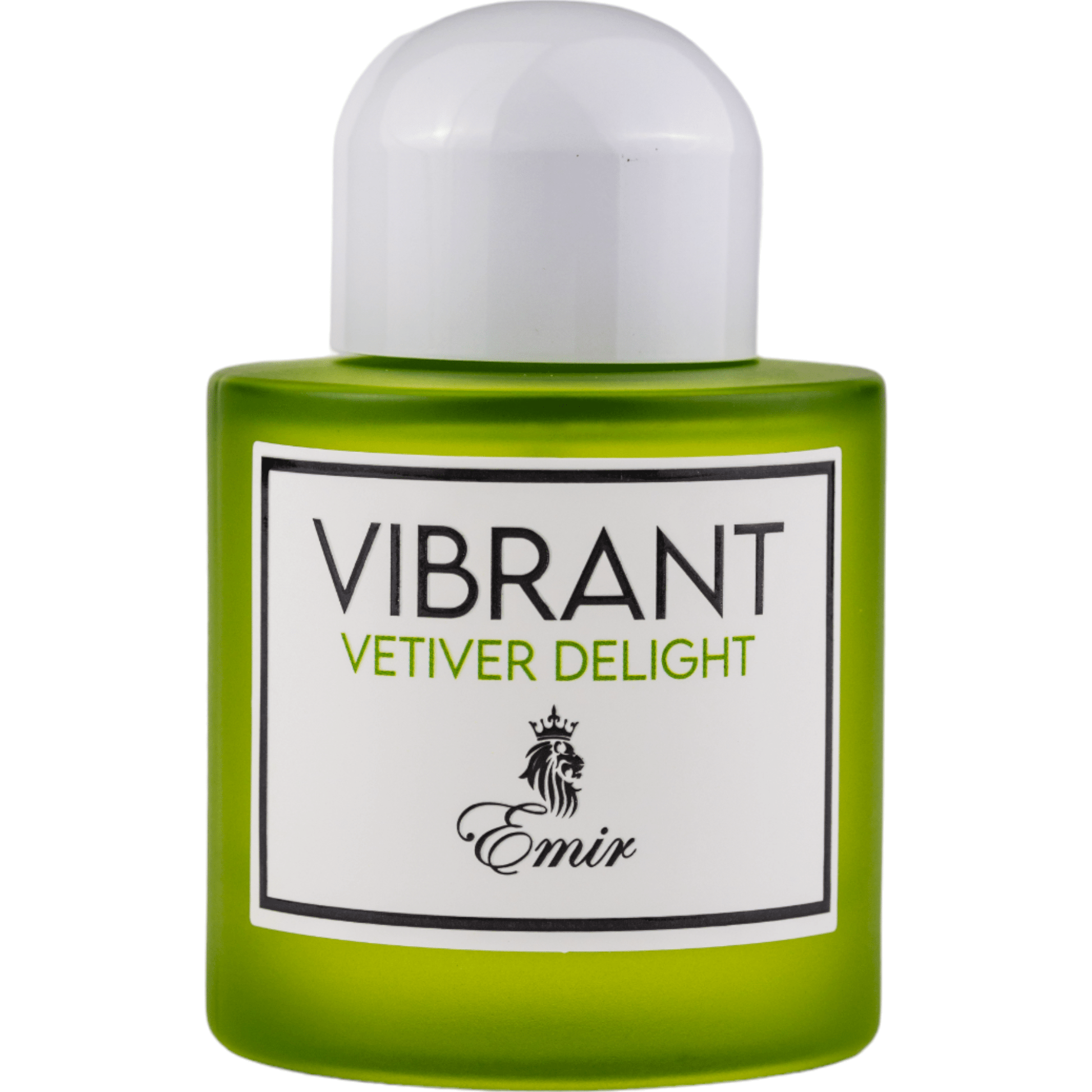 Vibrant Vetiver Delight by Emir - parfum arabesc unisex - EDP - 100 ml