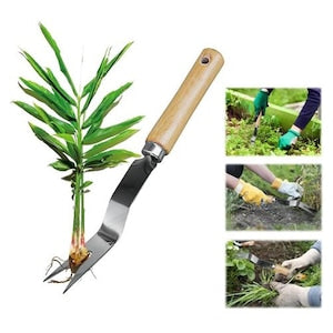 Hand weeding tool, stainless steel, wooden handle, 27x2.3cm