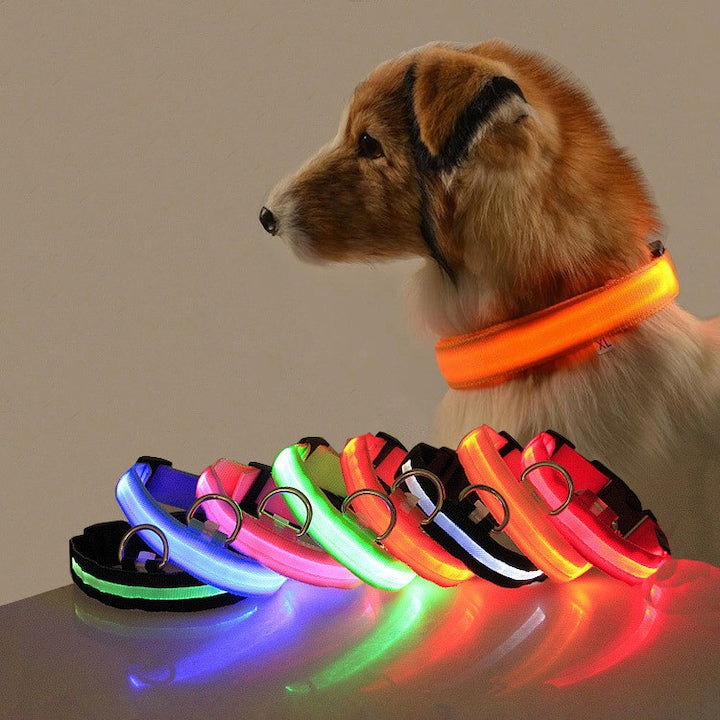 ZOUN LED Pet Collar, 7 colors, USB rechargeable, visibility and safety for night walks, 8 hours battery life, 3 lighting modes, adjustable, size M