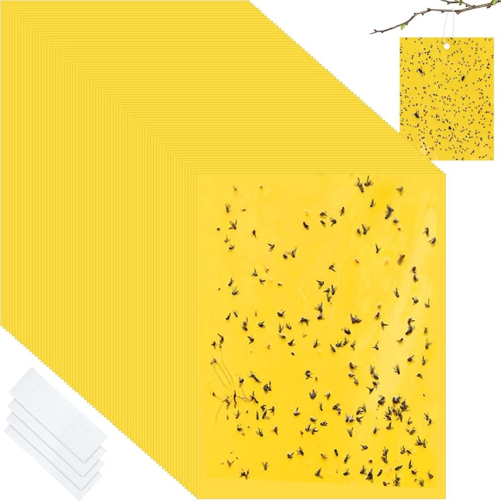 Set of 50 Double-Sided Sticky Traps for armyworms, Indoor/Outdoor, for Whiteflies, Mosquitoes, Fungus Gnats, 20x15cm, Yellow