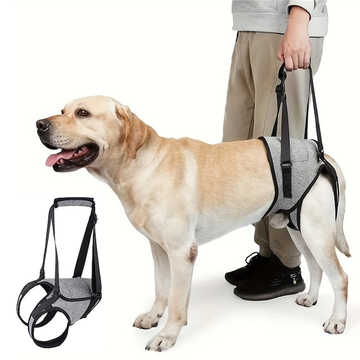 Support harness for dogs' hind legs ZOUN, suitable for injury recovery, elderly dogs, dogs with reduced mobility, aids recovery, adjustable, breathable, gray, size L