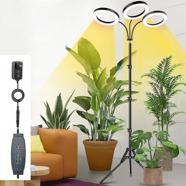 Lampa pentru cresterea plantelor  3 CapeteTrepied  Timer Automat 3/9/12h  pentru cresterea accelerata a plantelor  intensitate lumina ajustabila  inaltime reglabila  3 Moduri de Lumina  Alimentare USB  negru