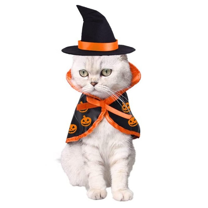 Halloween Pet Costume  ZOUN  Caini si pisici  Universal  aspect vrajitorie  Mare pentru festivaluri  petreceri  uzura de zi cu zi  Multicolor