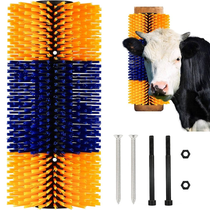 Perie De Zgariat CHOOLY  Galben-Albastru  43  5x19  2cm  Set 1 Bucata