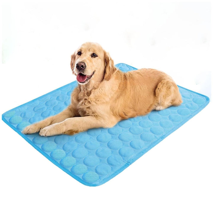 Covoras de Racire Pentru Animale de Companie  Omelivon  Portabila si Durabila  ideal Pentrus Vara Calatorii  XL 100x70cm  Large  Impermeabil  Albastru