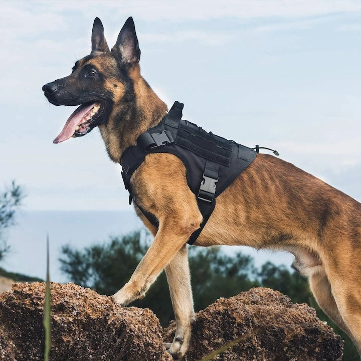 Tactical Dog Harness Anti-Pull Heavy Duty Military Vest Adjustable with Control Handle for Training Hiking and Walking Black Size M