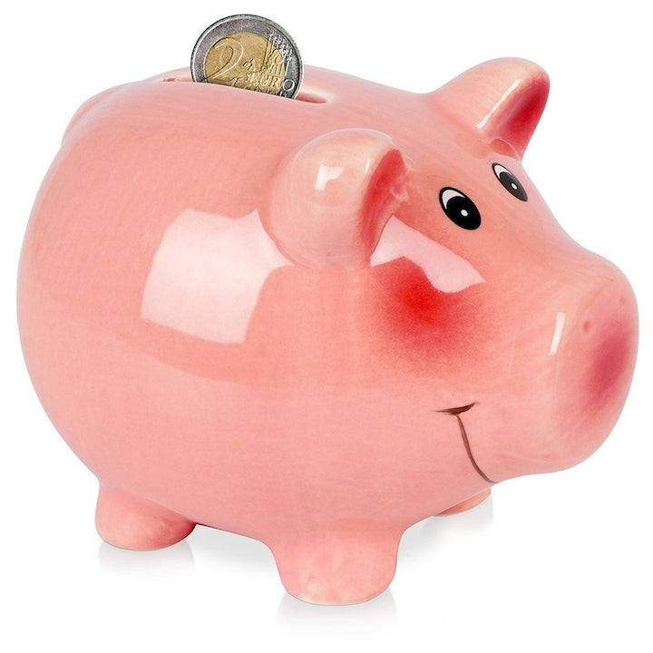 Pusculita  Vilde  12x9 cm  Piggy Bank  Ceramica  Roz